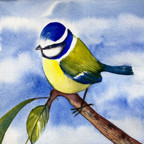 Cheryl Fausel Watercolor for Beginners Bird