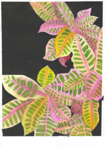 Exuberant Crotons by Claire St Louis