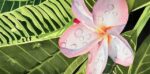 Cheryl Fausel Beginner Flower