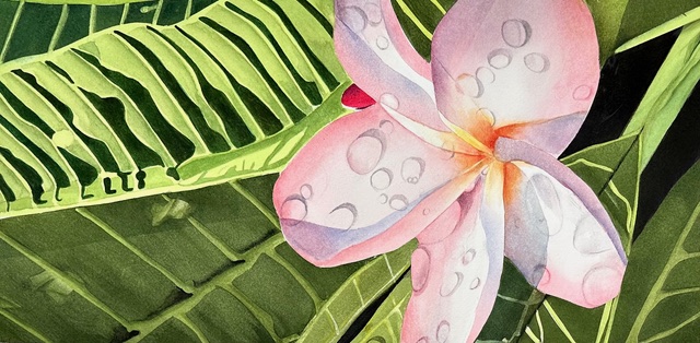 Cheryl Fausel Beginner Flower