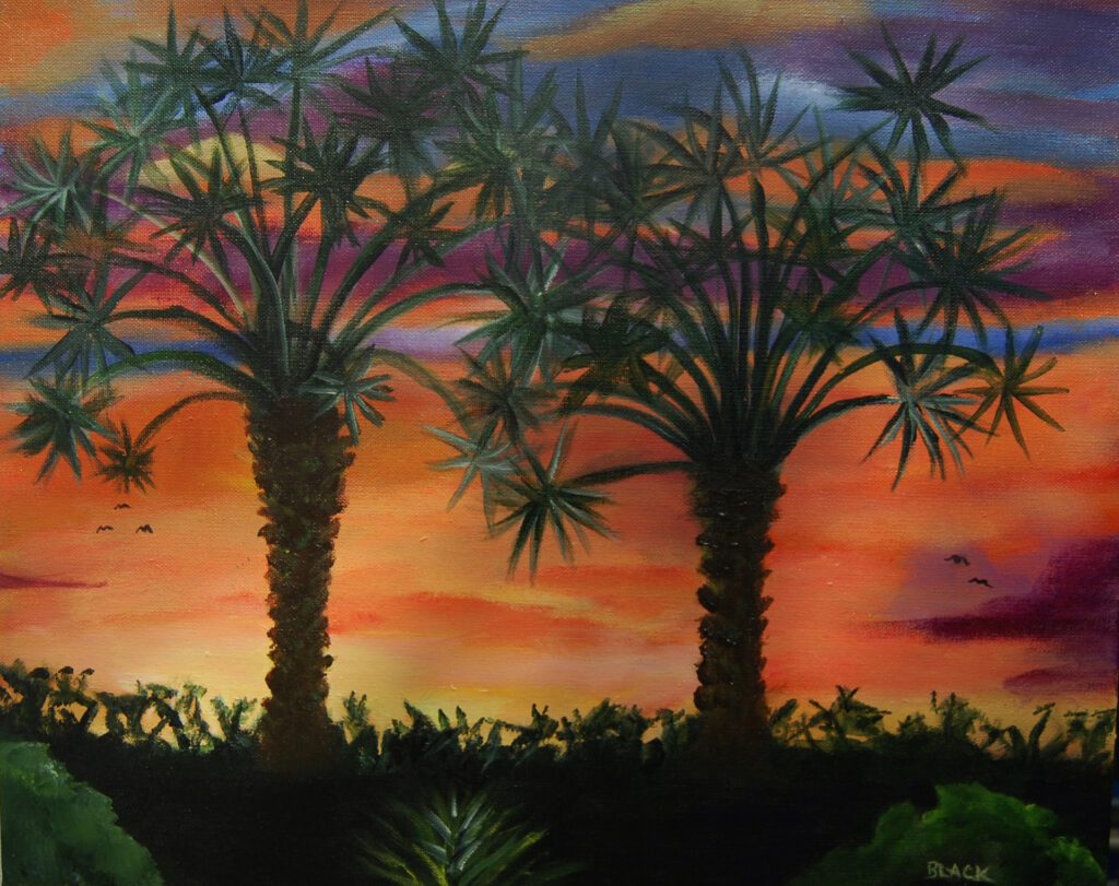 SWFL Sunset-Laura Black-Acrylic on Canvas Framed-20-16-300