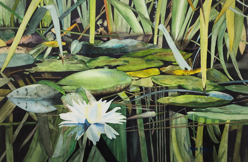 The Water Lily-Irvin Hawkes-Watercolor-15-20-900